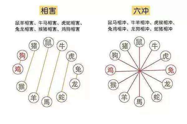 生肖犯六冲，最好不要恋爱结婚合作做生意！