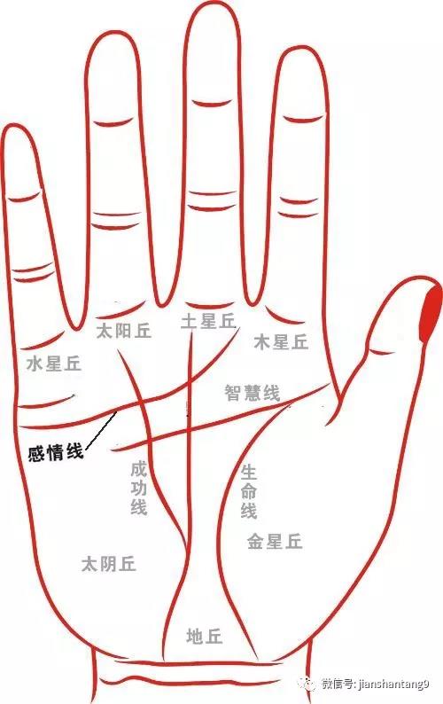 手相感情线分析，看你的感情线属于哪一种