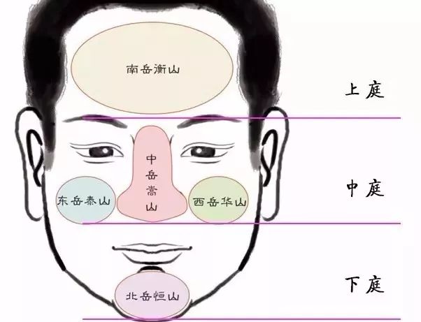 潜力股的男人在面相上有哪些特点