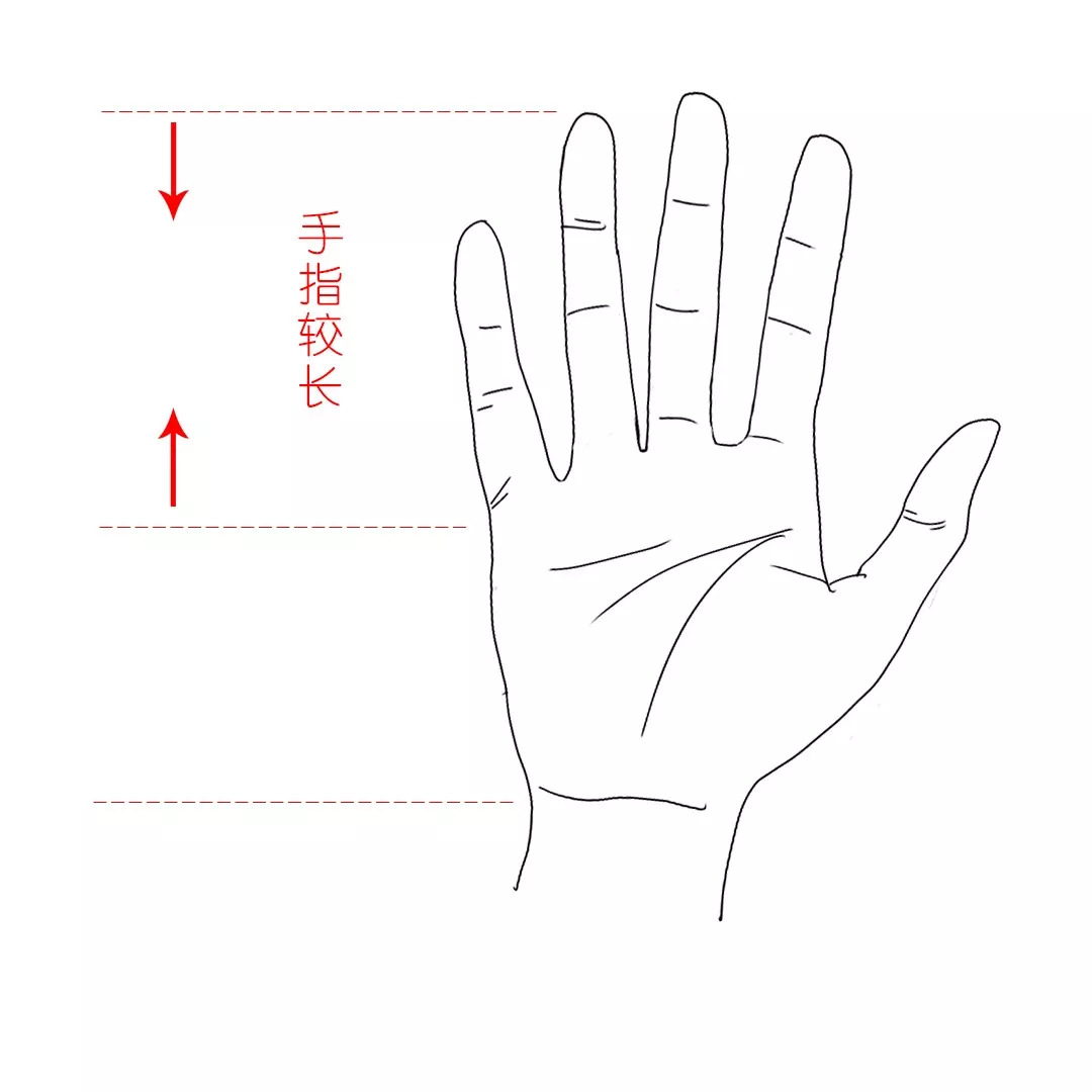 漫画图解手面相：从手指形状看你的性格