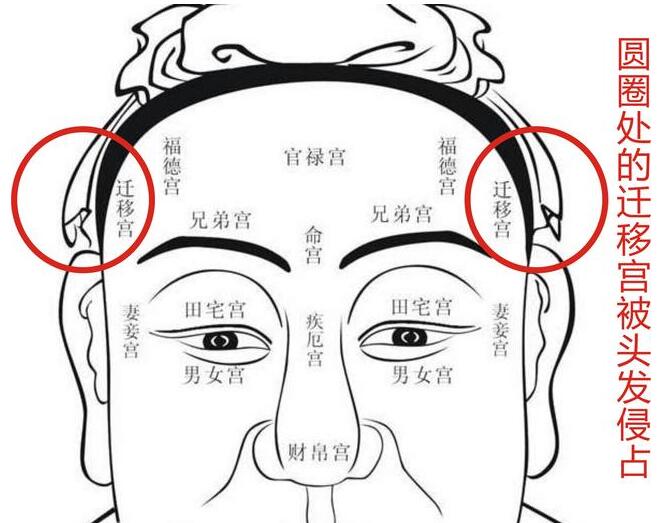 高铁座霸男的面相分析