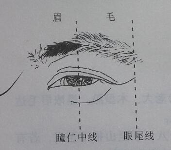 骆驼相法眉毛看兄弟姐妹几个排行老几的绝招