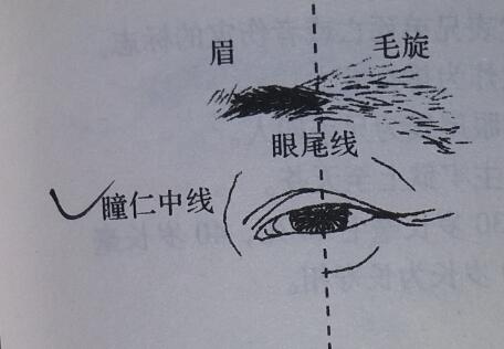 骆驼相法眉毛看兄弟姐妹几个排行老几的绝招