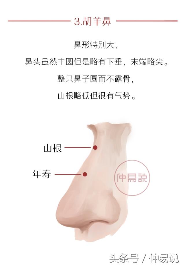 面相：有这5种鼻子的人，富贵不用愁，钱财滚滚来