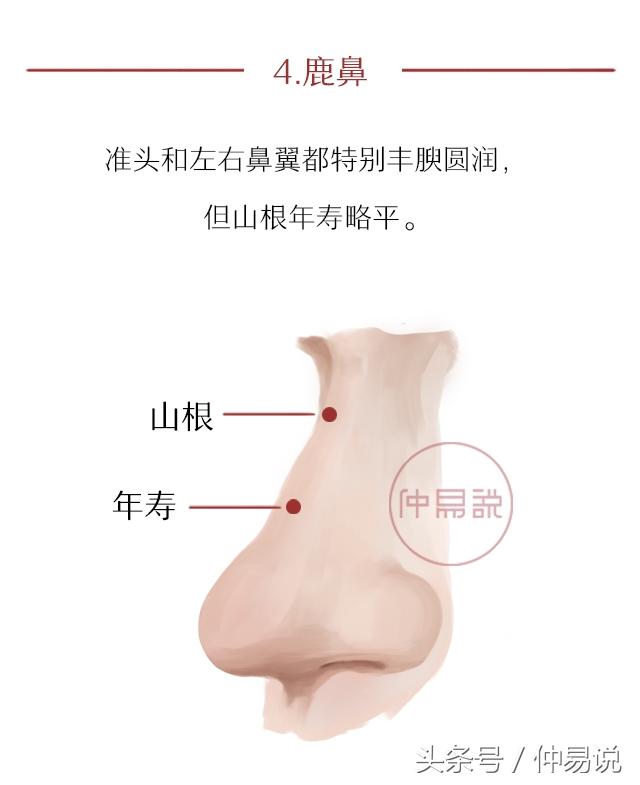 面相：有这5种鼻子的人，富贵不用愁，钱财滚滚来