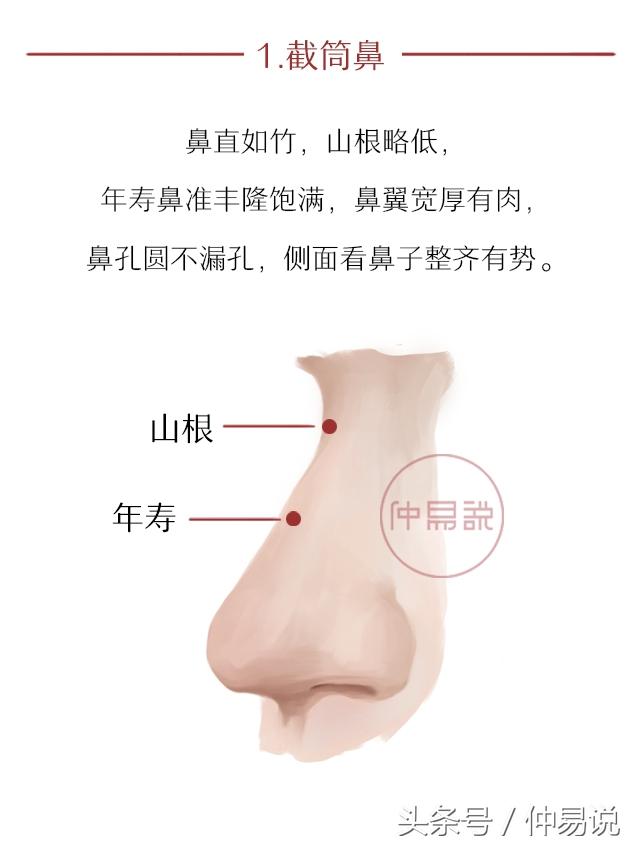 面相：有这5种鼻子的人，富贵不用愁，钱财滚滚来