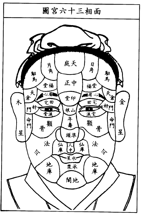 面相三十六宫部位简介图解 面相三十六宫详解